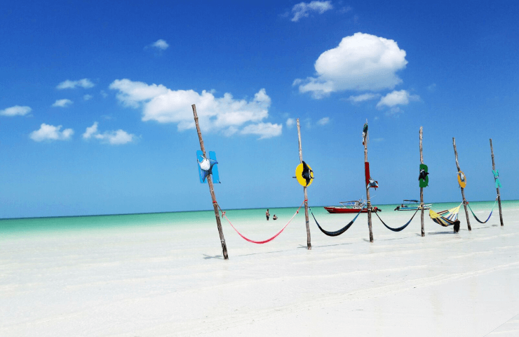 HOLBOX 